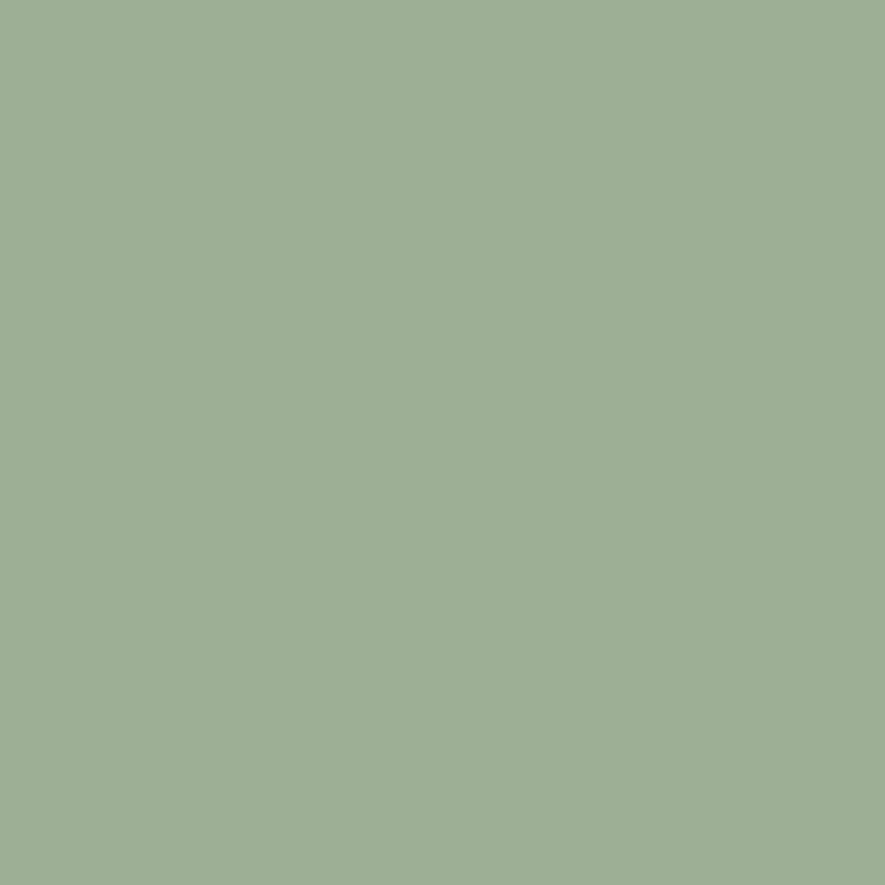 Dressikangas sage roheline (250g)